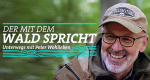 Der mit dem Wald spricht