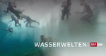 Wasserwelten
