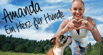 Amanda - Ein Herz für Hunde