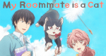 My Roommate is a Cat