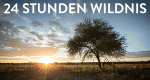 24 Stunden Wildnis