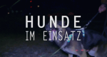 Hunde im Einsatz