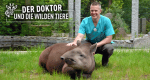 Der Doktor und die wilden Tiere
