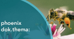 phoenix dok.thema (D, 2019 – )