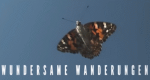 Wundersame Wanderungen (F, 2018 – )