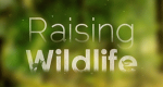 Raising Wildlife: Aufzucht in der Wildnis
