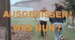 Ausgerissen! Was nun?