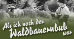Als ich noch der Waldbauernbub war