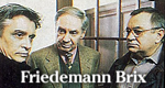 Friedemann Brix