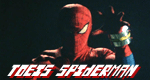 Toei's Spiderman