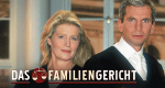 Das Familiengericht