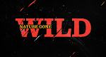 Verrückte Wildnis
