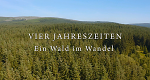 Vier Jahreszeiten - Ein Wald im Wandel