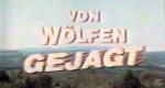 Von W&ouml;lfen gejagt