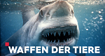 Waffen der Tiere (AUS/D, 2021 – )
