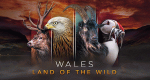 Wales - Der Wilde Westen Großbritanniens