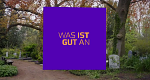 Was ist gut an ...