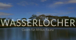 Wasserlöcher - Oasen für Afrikas Fauna