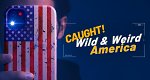 Wild & Weird America (USA, 2024 – )