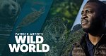 Wild World mit Patrick Aryee