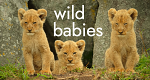 Wilde Babys (GB, 2022 – )