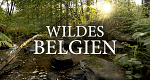 Wildes Belgien (GB/USA/ZA, 2023 – )