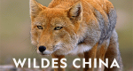 Wildes China (USA, 2017 – )
