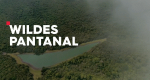 Wildes Pantanal (GB, 2019 – )