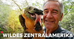Wildes Zentralamerika