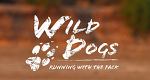 Wildhunde: Mit dem Rudel laufen