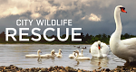 Wildtierrettung in der Stadt