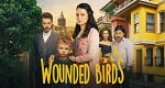 Wounded Birds