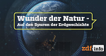 Wunder der Natur