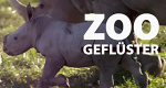 Zoogeflüster