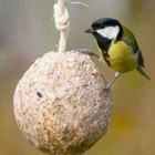 TheRealSnakePlissken