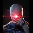 Grey Fox