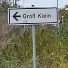 frosch60