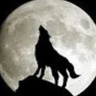 Wolzow_vom_Wolfsfelsen
