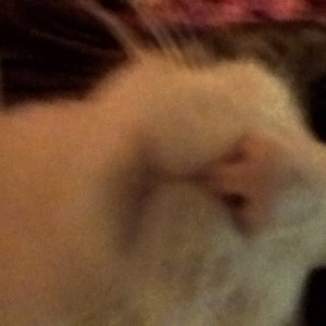 jmbr