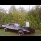 hofi1978