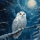 Schneeeule