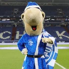 Schalke_Jan
