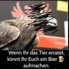 Eagle Fang