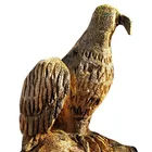 PaarNixe