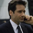 Special Agent Fox Mulder