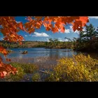 Indian Summer ? ? ?