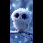 Schneeeule