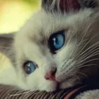 Sosooo