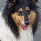 User_1397598
