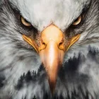 Eagle Fang
